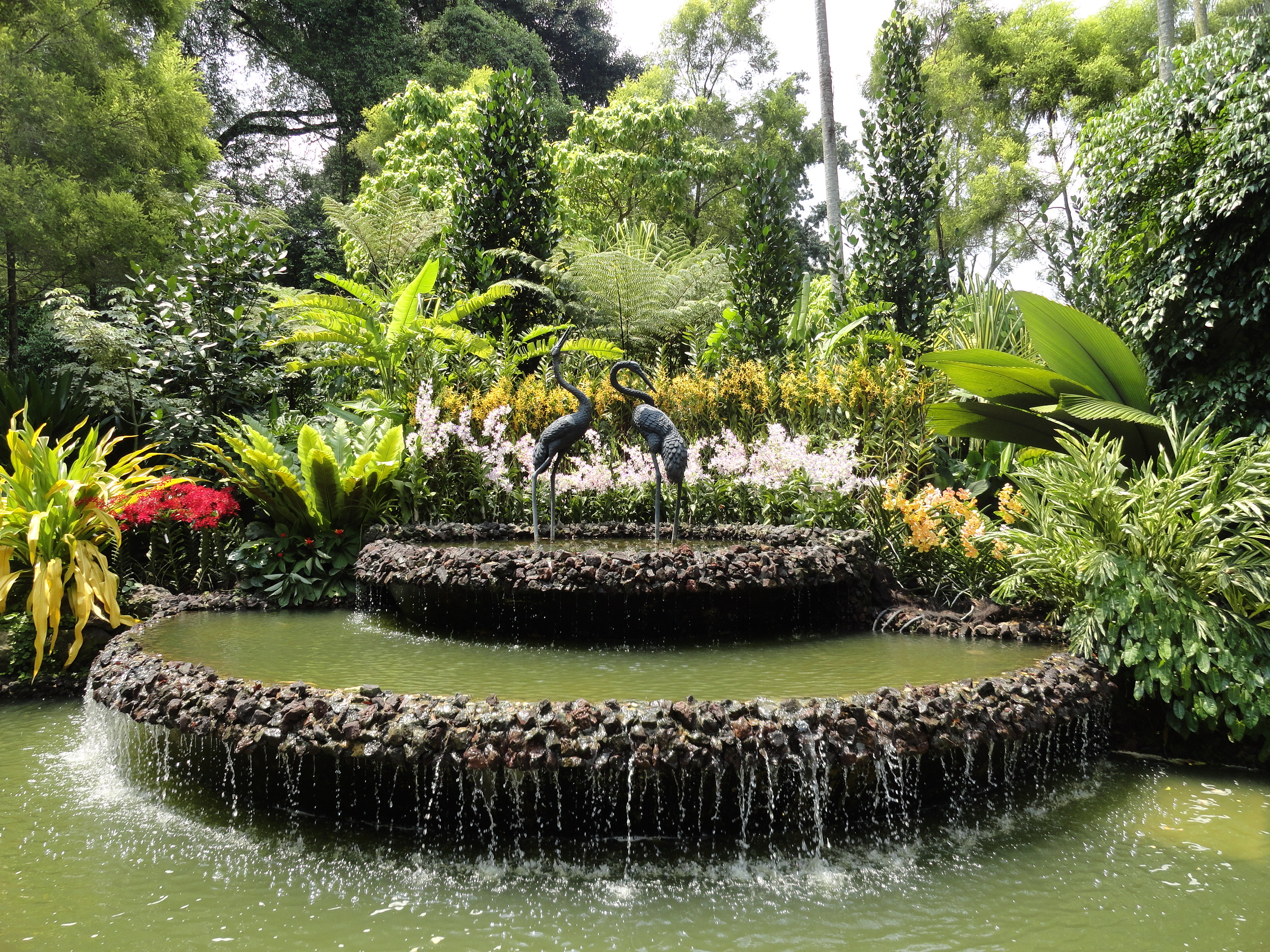 Orchid Garden