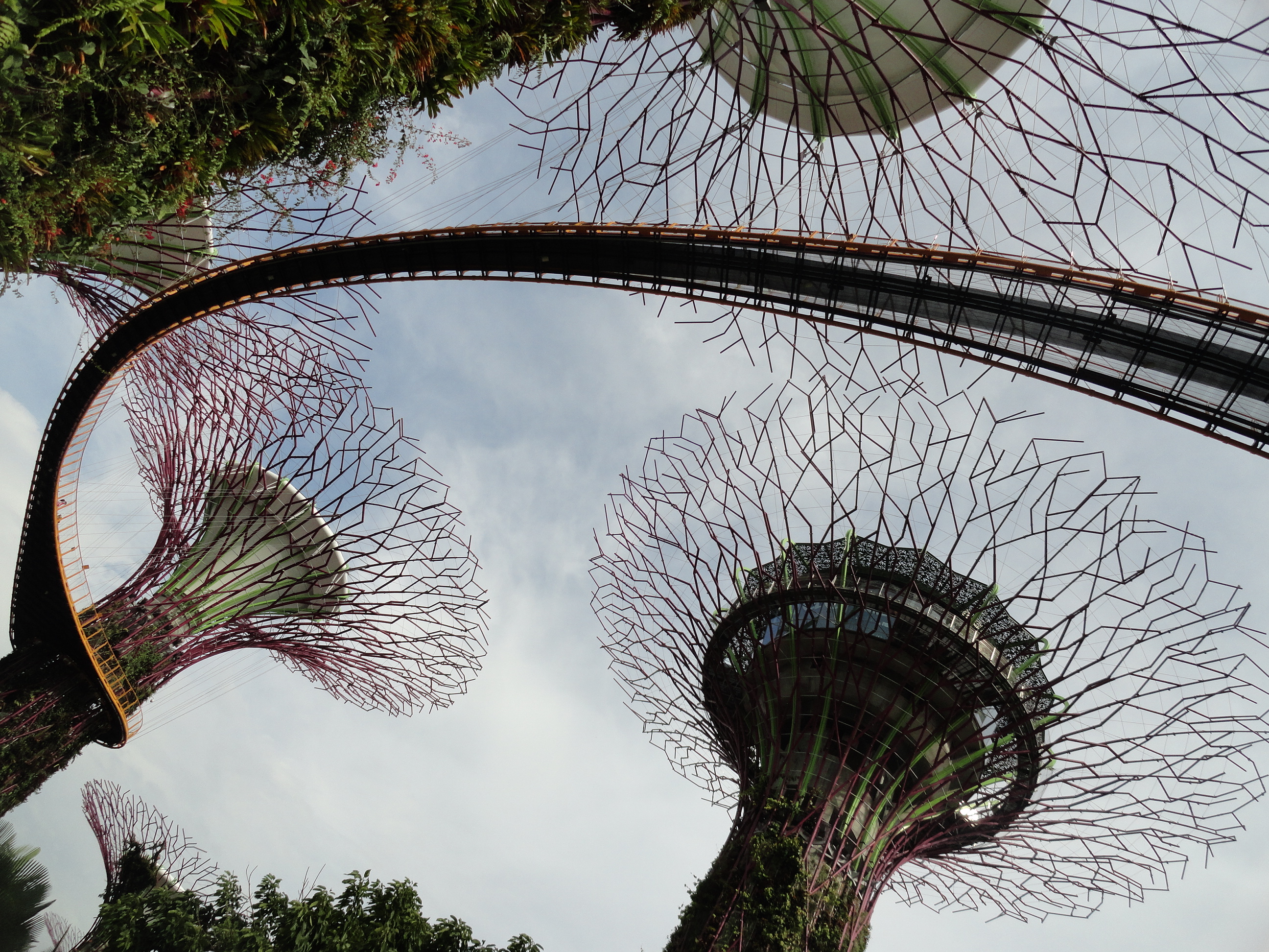 Super Trees