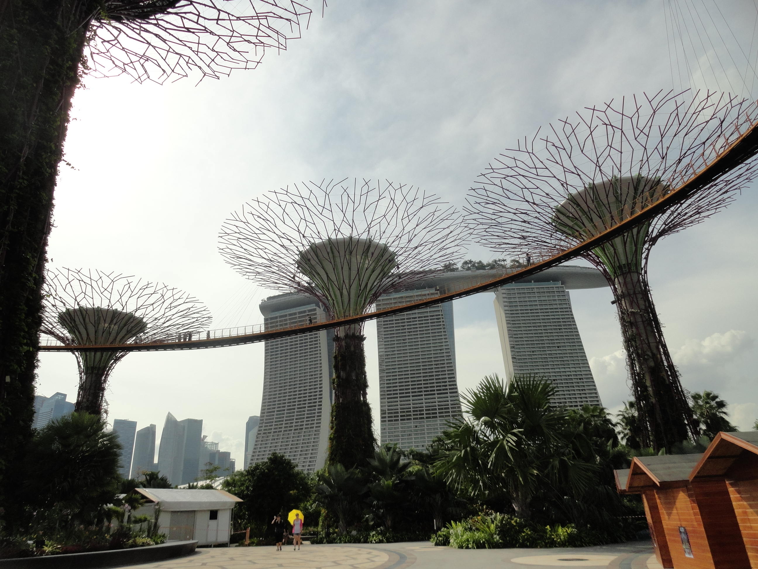 Super Trees Grove