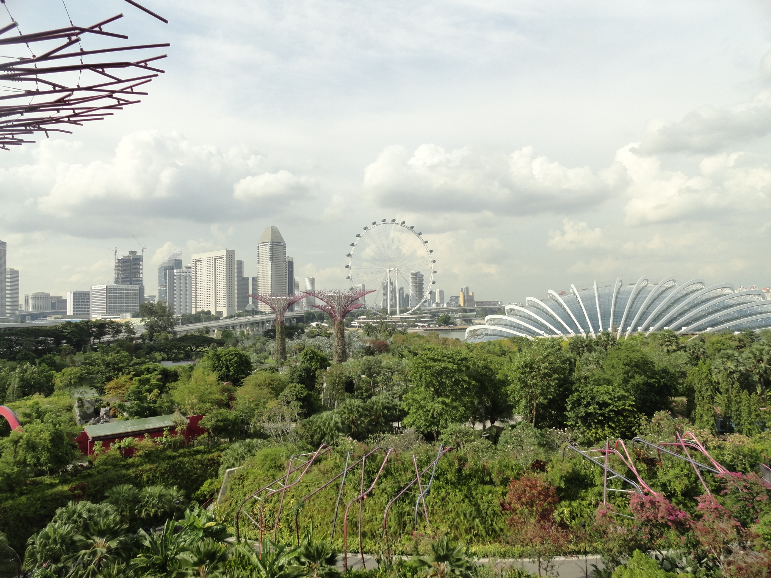 view from Cloud Forest