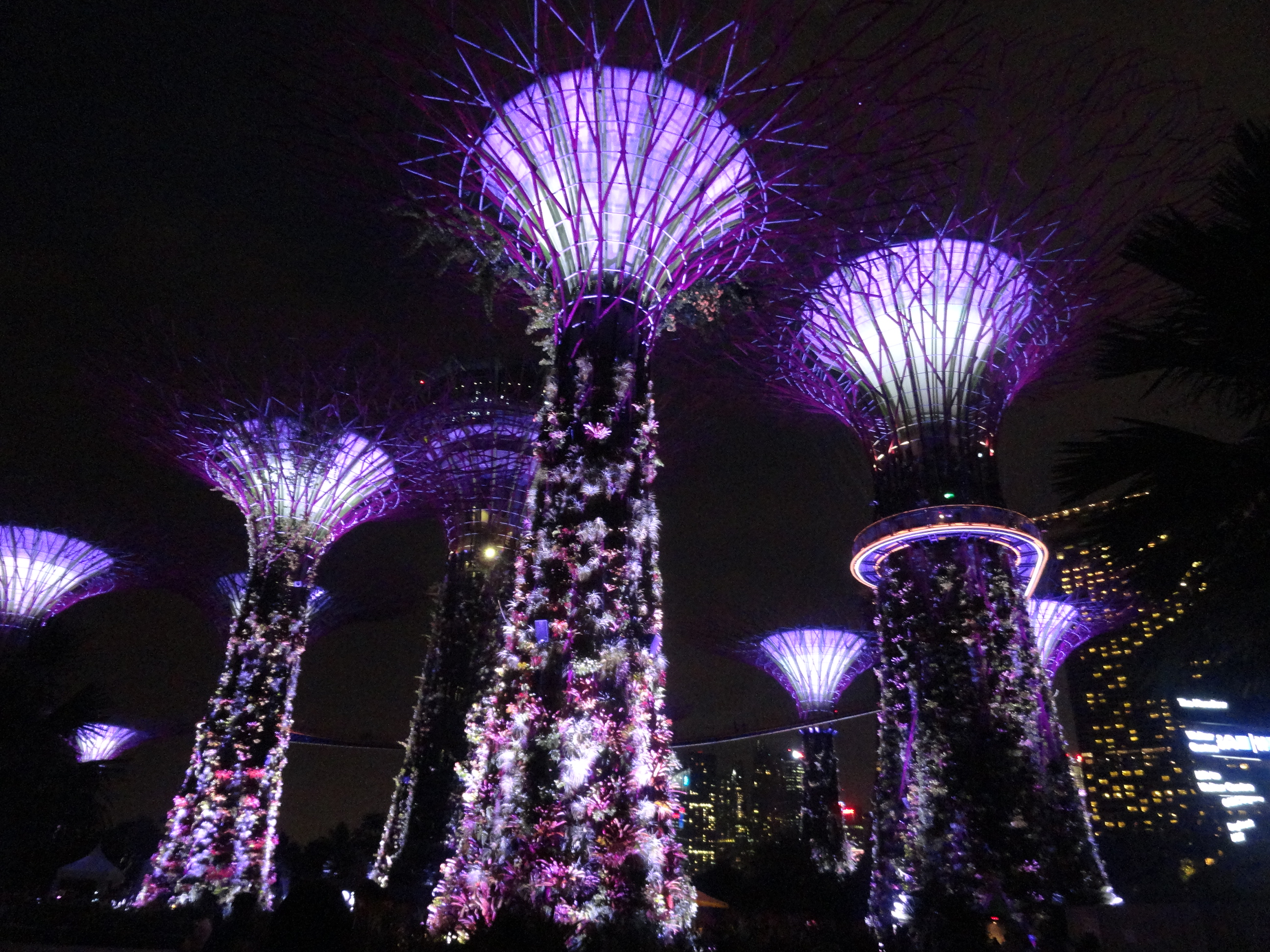 Super trees lights show