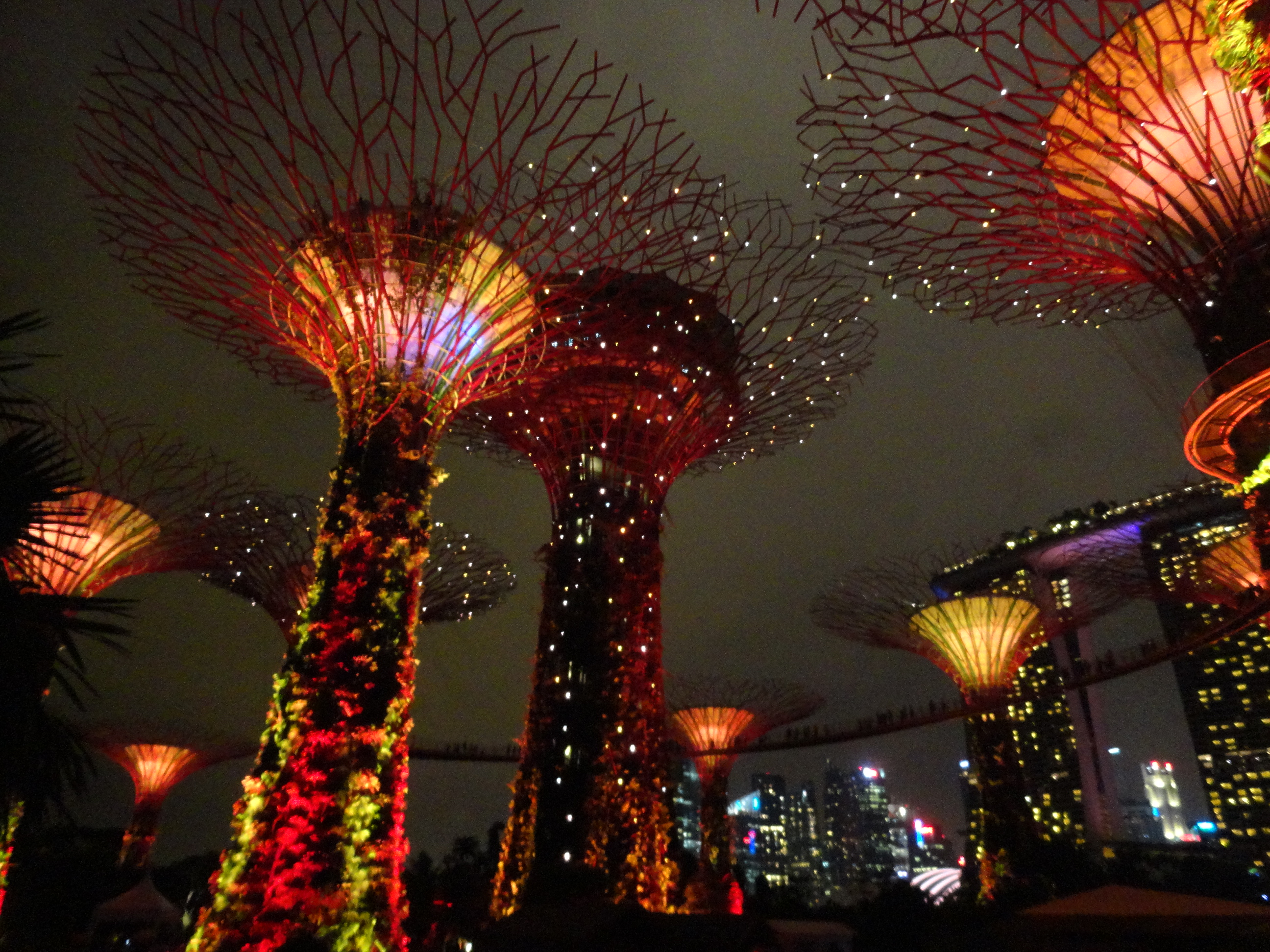 super trees lights show