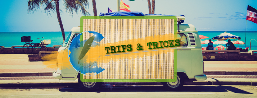 travel blog and tips